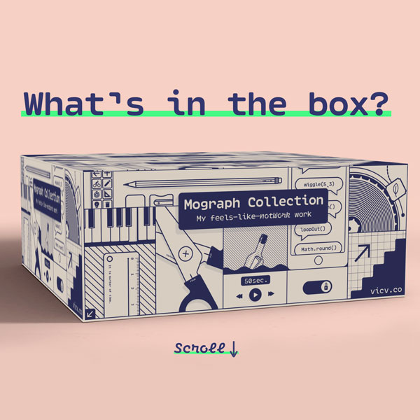 What's in the Box